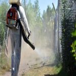 En el Valle 7 municipios registran mayor afectación por dengue