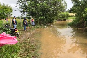 Desborde del río Cauca generó emergencia en la zona rural
